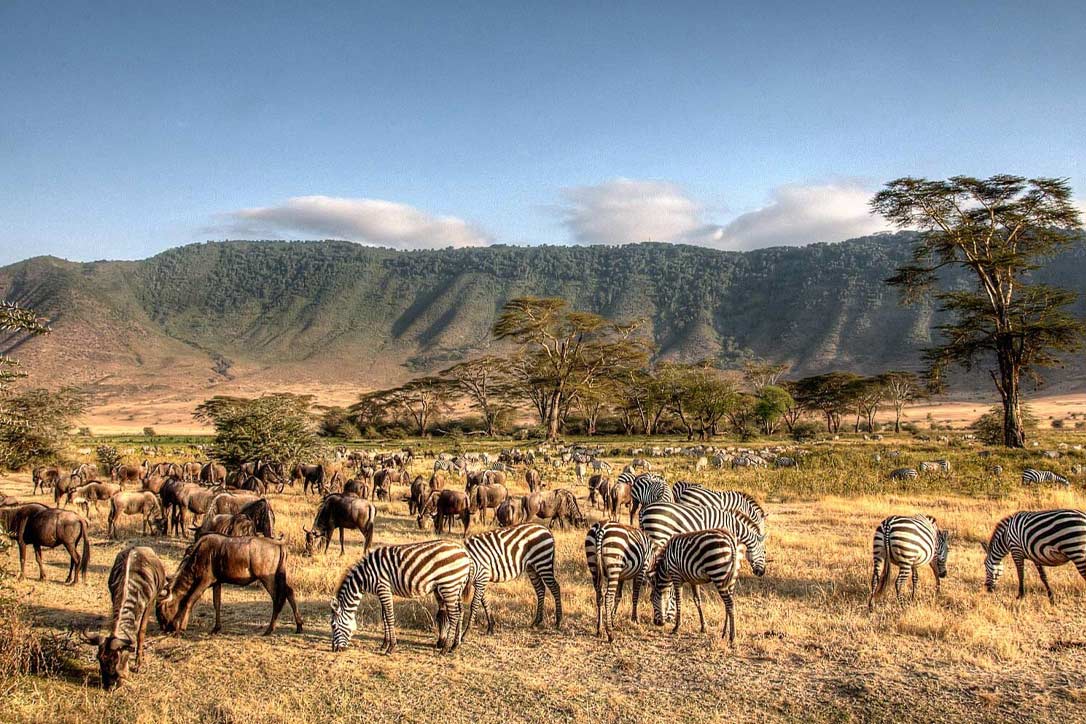 5 Days Tanzania Under the Skies Safari