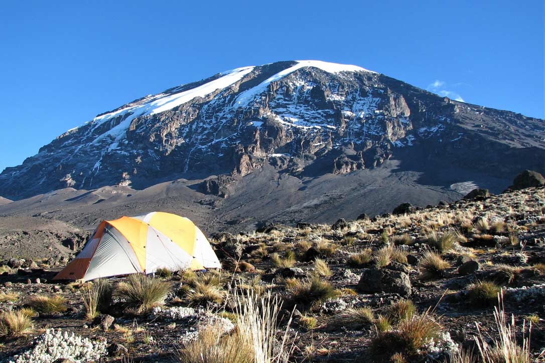8 Days Kilimanjaro Summit Climbing Lemosho Route